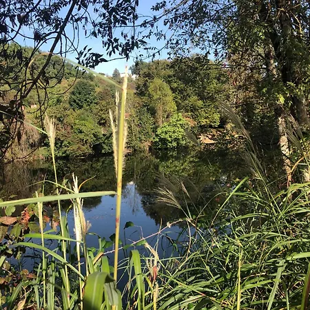 Demeure De Charme Vue Riviere Piscine Parking Bed & Breakfast Perigueux